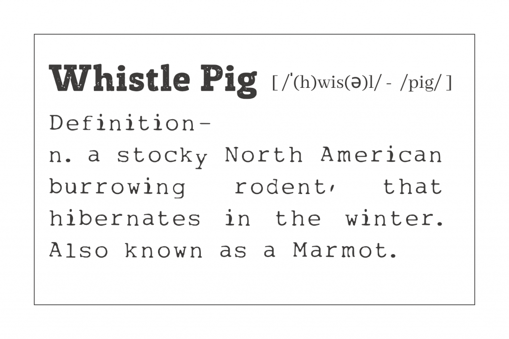 Whistle Pig
Definition
